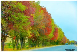 slider_img